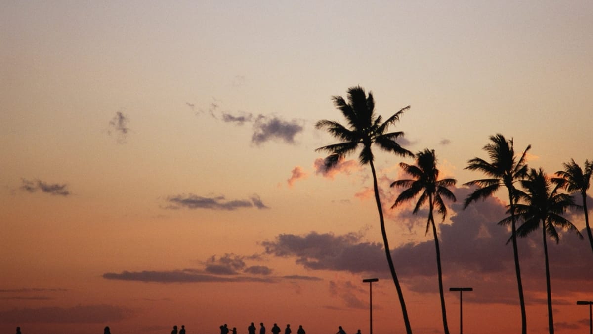 Two silhouetted figures among palm trees at sunset